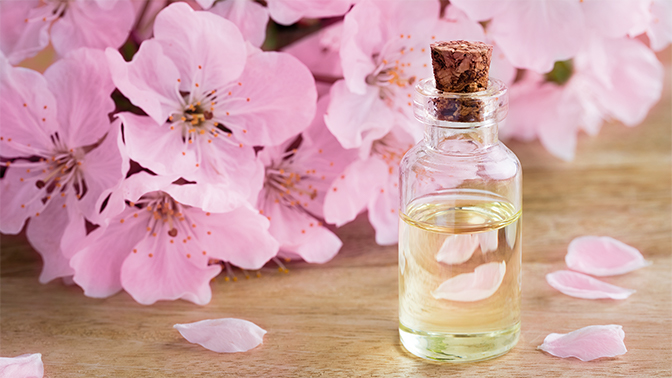 Ekstrak Bunga Sakura yang Punya Segudang Manfaat untuk Kulitmu! 