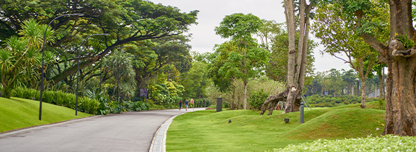 10 Tempat Wisata Alam Sekitar Jakarta Buat Liburan!